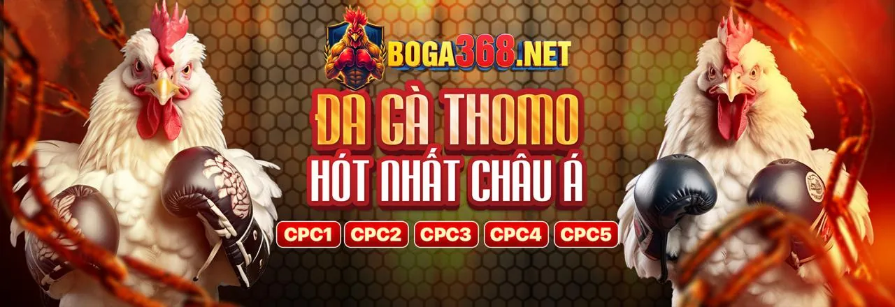 Phân tích kèo cá độ bóng đá World Cup 2026